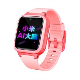 4G Smart Watch