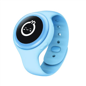 4G Smart Watch